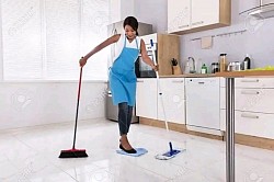 Best domestic staffs